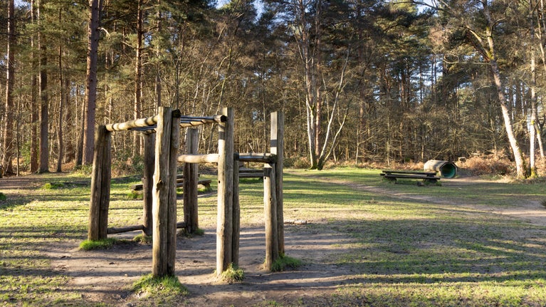 Wooden monkey bars and balance beams set in clearing in the woods